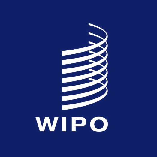 Diretor Executivo do IBDAutoral no Curso de Verão da OMPI